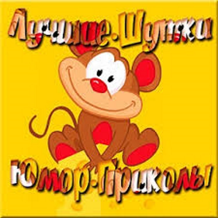 как я снимала квартиру