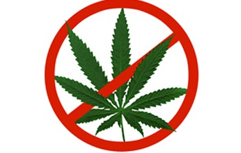 легализация марихуаны